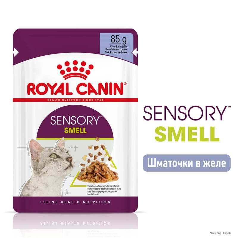 Royal Canin (Роял Канін) Sensory Smell in Jelly – Вологий корм з м'ясом та рибою для дорослих котів, що стимулює нюхові рецептори (шматочки в желе) (85 г) в E-ZOO