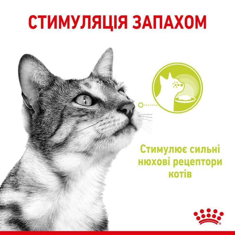 Royal Canin (Роял Канін) Sensory Smell in Jelly – Вологий корм з м'ясом та рибою для дорослих котів, що стимулює нюхові рецептори (шматочки в желе) (85 г) в E-ZOO
