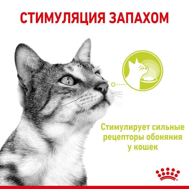 Royal Canin (Роял Канин) Sensory Smell in Jelly – Влажный корм с мясом и рыбой для взрослых кошек, стимулирующий обонятельные рецепторы (кусочки в желе) (85 г) в E-ZOO