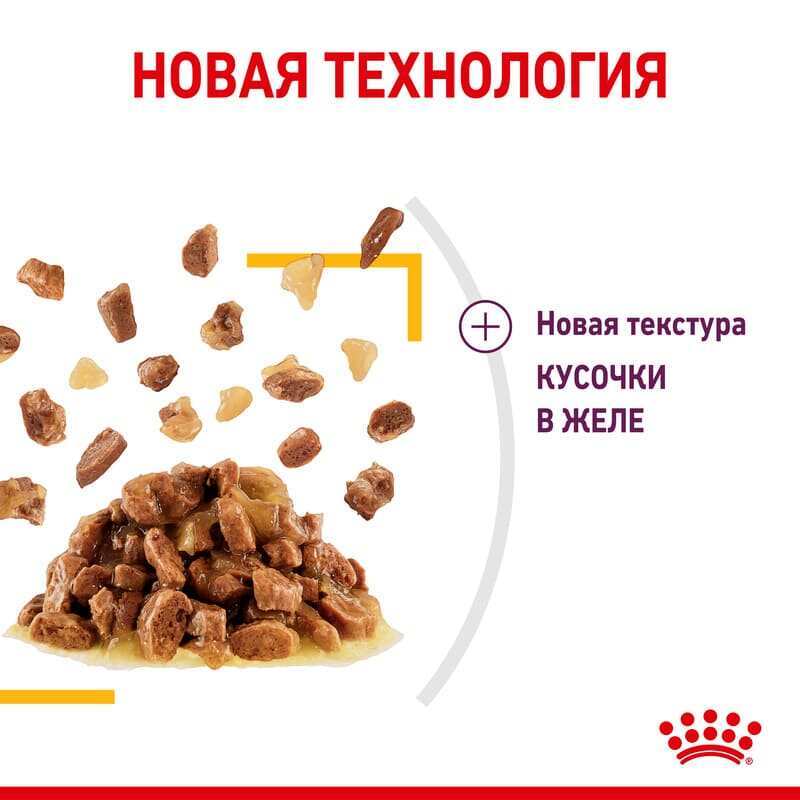 Royal Canin (Роял Канин) Sensory Taste in Jelly – Влажный корм с мясом для взрослых кошек, стимулирующий вкусовые рецепторы (кусочки в желе) (85 г) в E-ZOO