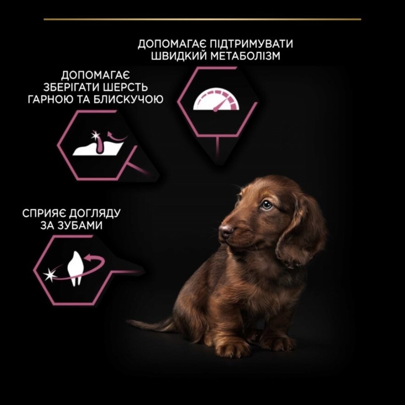 Purina Pro Plan (Пурина Про План) Small&Mini Puppy Sensitive Skin - Cухой корм с лососем для щенков мелких пород с чувствительной кожей (3 кг) в E-ZOO