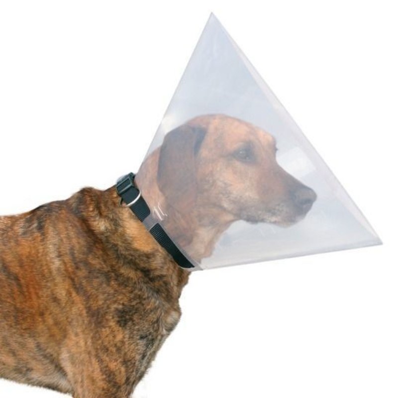 Collar (Коллар) Dog Exterme - Ветеринарный воротник для собак и кошек (S) в E-ZOO