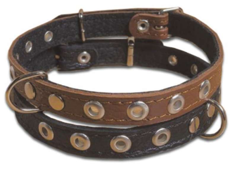 Before (Бифор) Ошейник кожаный для собак (3,5х55-63 см) в E-ZOO