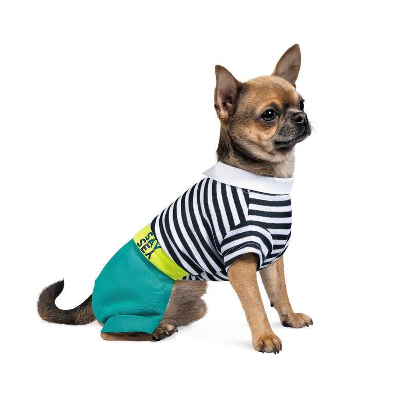 Pet Fashion (Пет Фешн) Say Yes Strip - Костюм для собак в морском стиле (зеленый/полосатый) (XS (23-25 см)) в E-ZOO