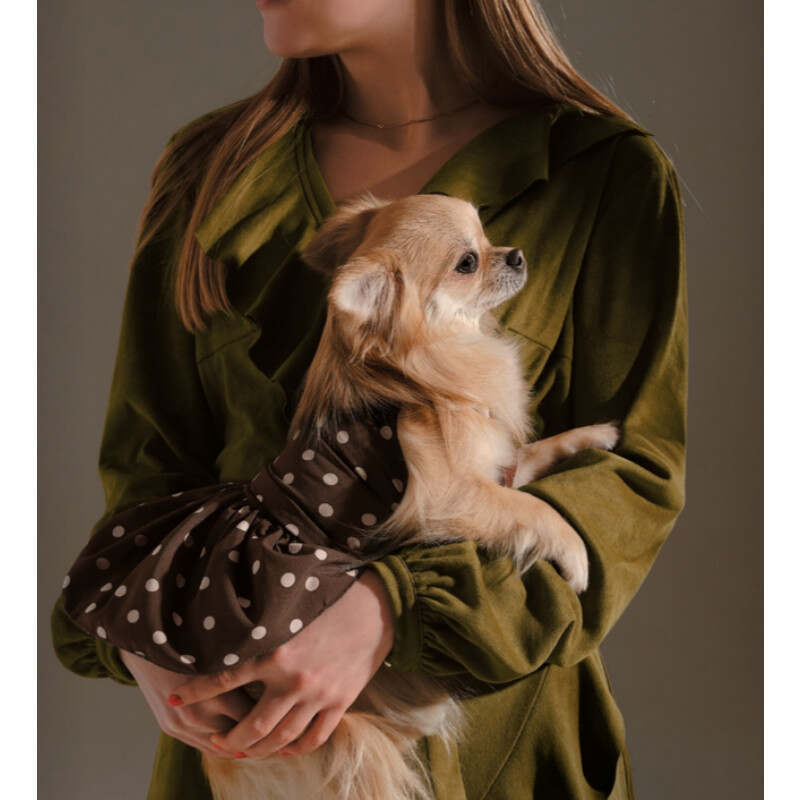 Pet Fashion (Пет Фешн) Say Yes Flirt - Платье для собак (коричневое) (XXS (20-22 см)) в E-ZOO