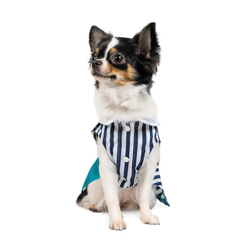 Pet Fashion (Пет Фешн) Say Yes Band - Платье в морском стиле для собак (бирюзовое/белое в полоску) (XS (23-25 см)) в E-ZOO
