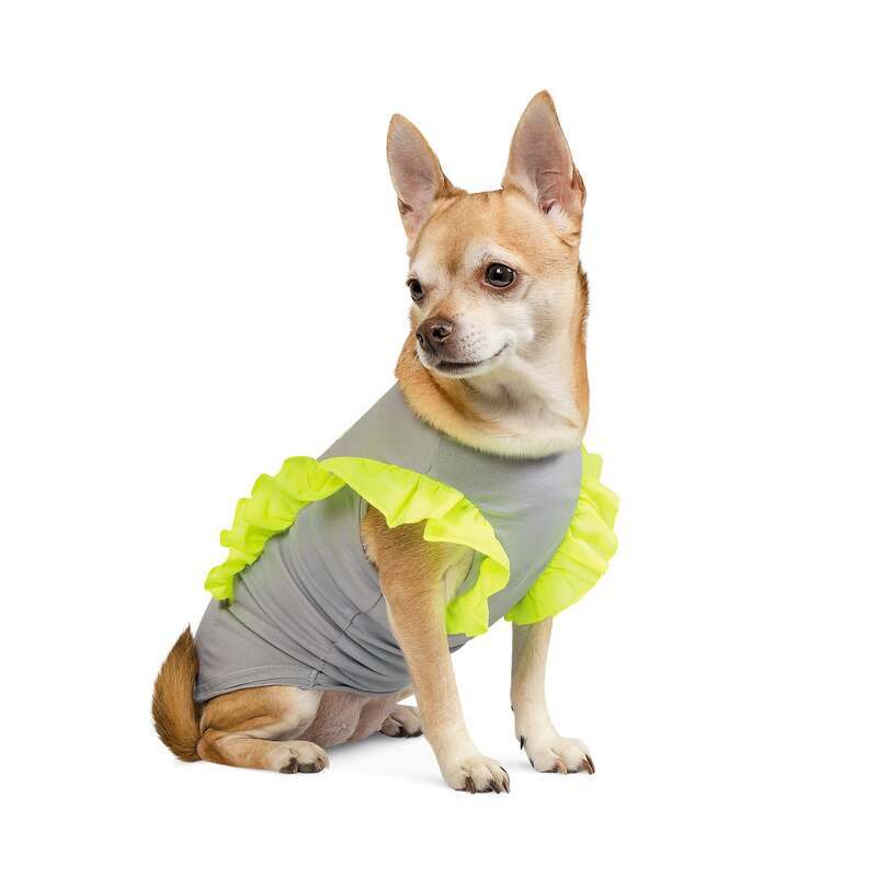 Pet Fashion (Пет Фешн) Say Yes Sunkissed - Футболка с "крылышками" для собак (серая) (XS (23-25 см)) в E-ZOO