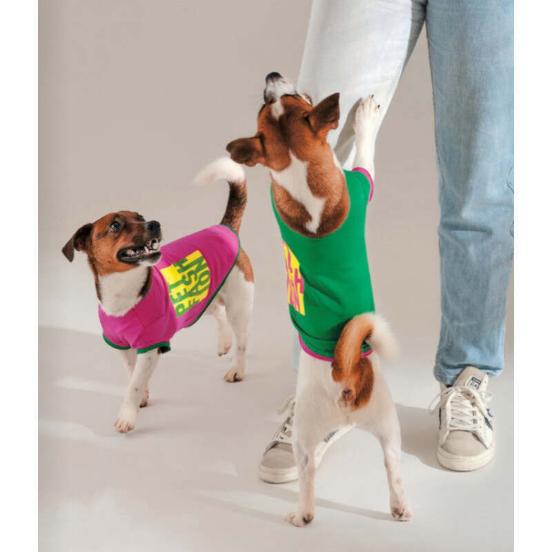 Pet Fashion (Пет Фешн) Yes - Футболка для собак (малина) (XS-2 (26-28 см)) в E-ZOO