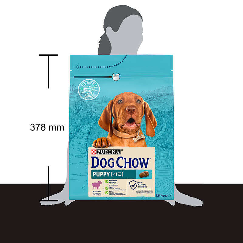 Dog Chow (Дог Чау) Puppy Lamb - Сухой корм с ягненком для щенков всех пород (2,5 кг) в E-ZOO