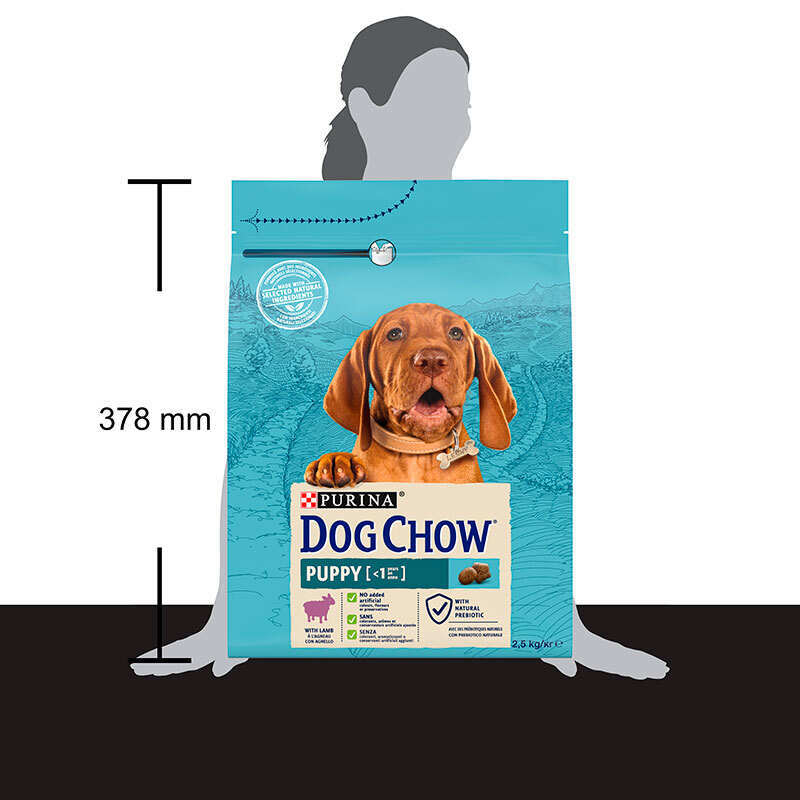 Dog Chow Puppy Lamb - Сухий корм з ягням для цуценят всіх порід (2,5 кг) в E-ZOO