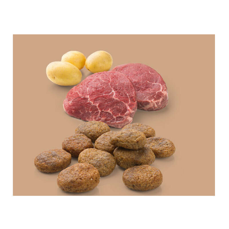 Mera (Мера) Dog Pure Sensitive Fresh meat Rind&Kartoffel - Сухой беззерновой корм с говядиной и картофелем для собак (12,5 кг) в E-ZOO