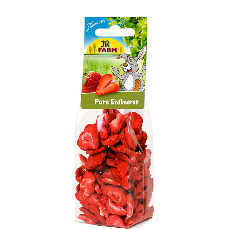 JR Farm (Джиэр Фарм) Pure Strawberries – Сушёная клубника для грызунов (20 г) в E-ZOO