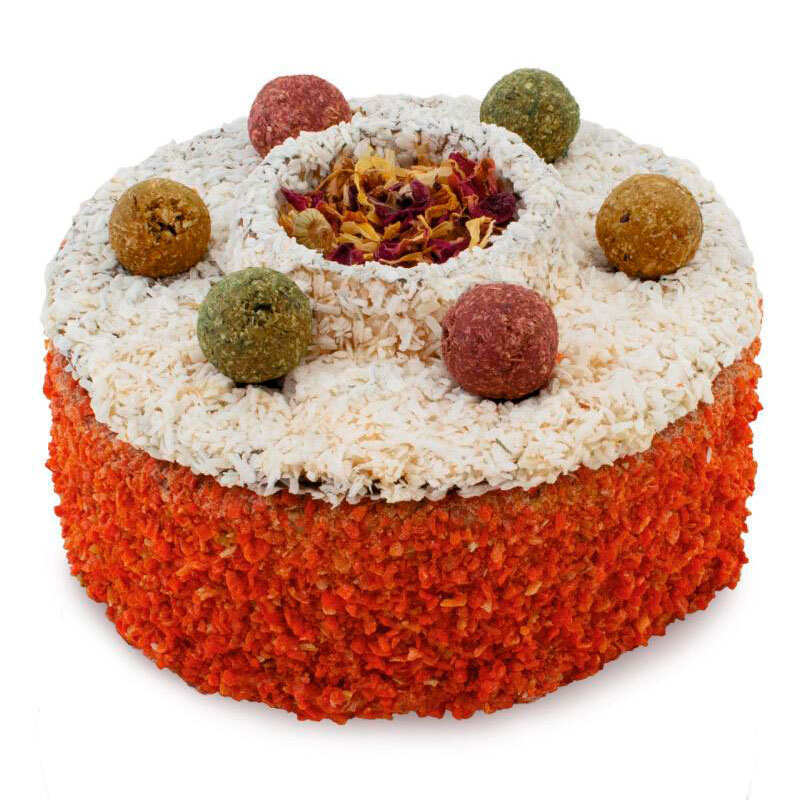 JR Farm (Джиер Фарм) Animal Cake – Вітамінний смаколик-торт для гризунів (200 г) в E-ZOO