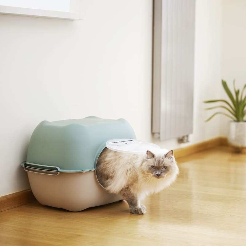 Rotho MyPet (Рото МайПет) Bella - Дверца модульного туалета Белла для котов (26,5х20,9х1,8 см) в E-ZOO