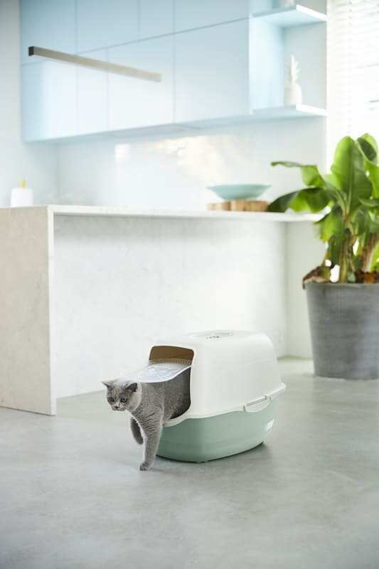 Rotho MyPet (Рото МайПет) Cat Toilet Bailey ECO – Закрытый туалет для котов с фильтром (56х40х39 см) в E-ZOO