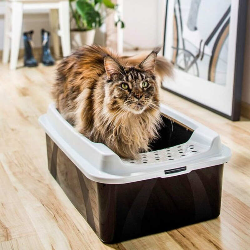 Rotho MyPet (Рото МайПет) Cat Toilet Bonnie ECO – Відкритий туалет для котів з рамкою (57х39х21 см) в E-ZOO