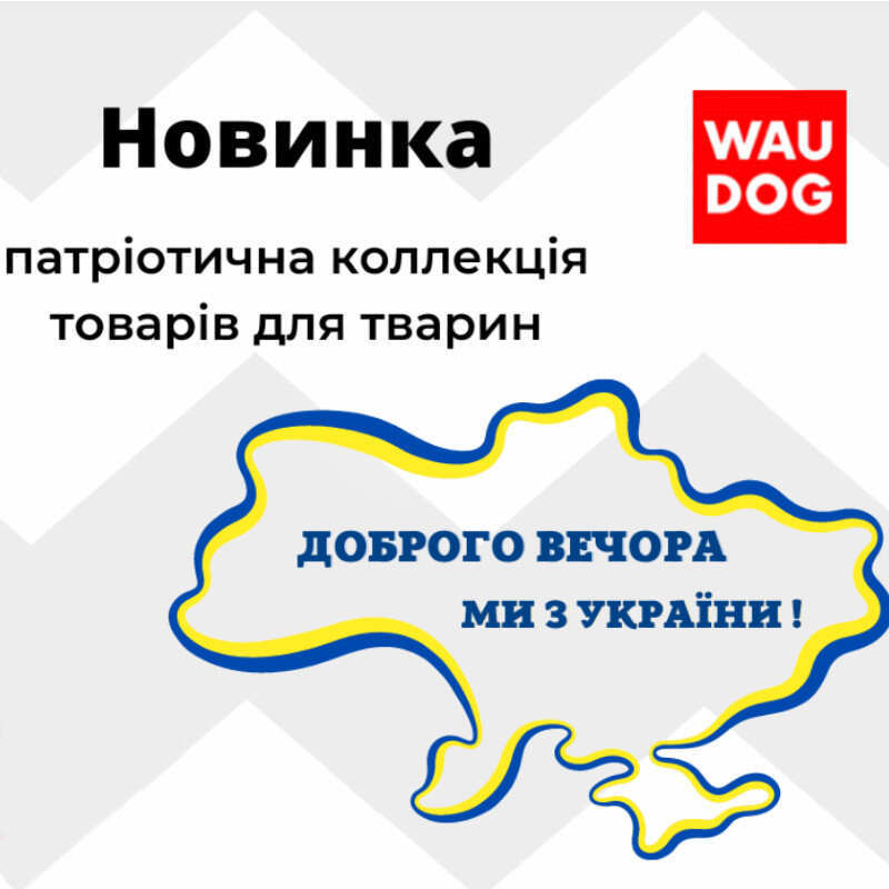 Collar (Коллар) WAUDOG Nylon - Повідець для собак з малюнком "Прапор", нейлоновий (1,5х122 см) в E-ZOO