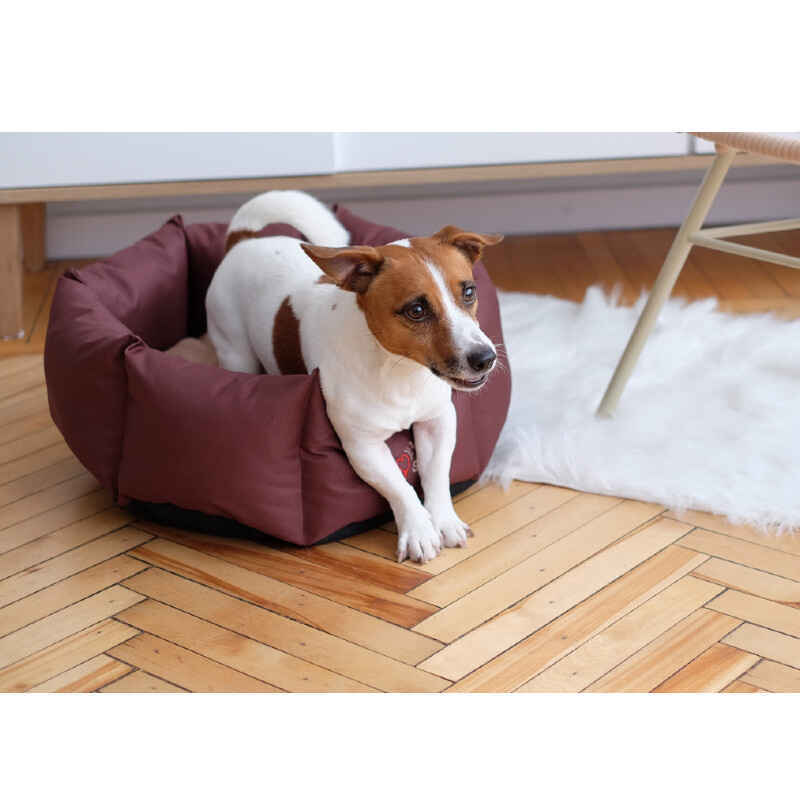 Noble Pet (Нобл Пет) Paul - Лежак для собак мелких пород и котов с гипоаллергенным наполнителем (45 см) в E-ZOO