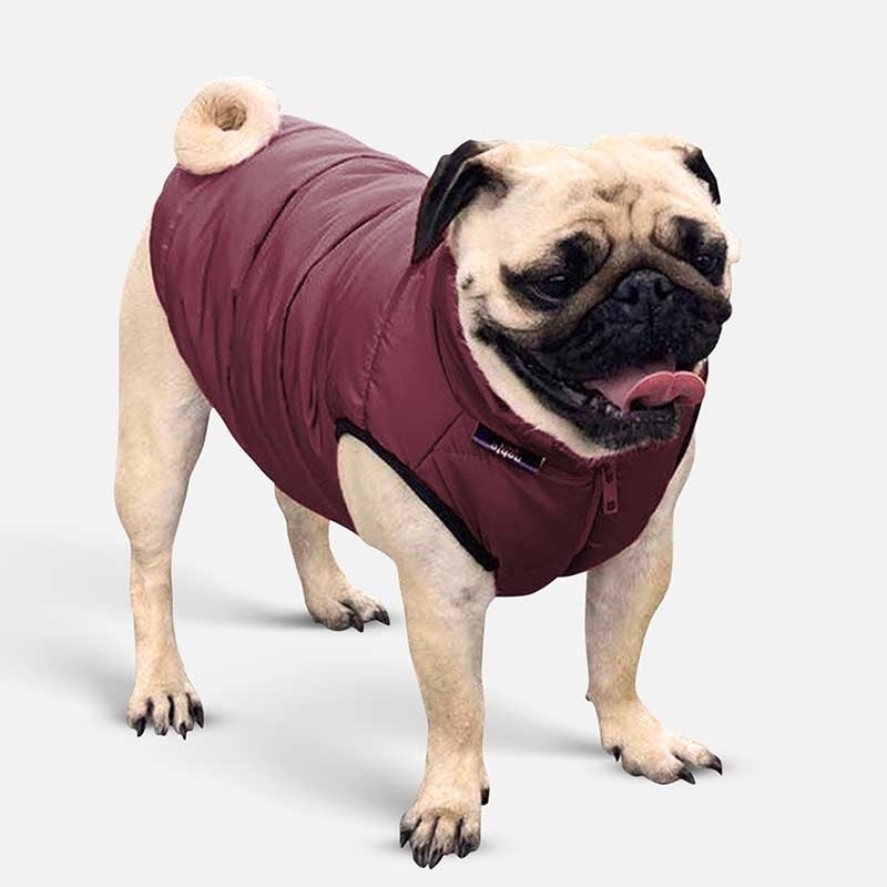 Noble Pet (Нобл Пет) Scotty - Куртка для собак (бордовая) (S (27-29 см)) в E-ZOO