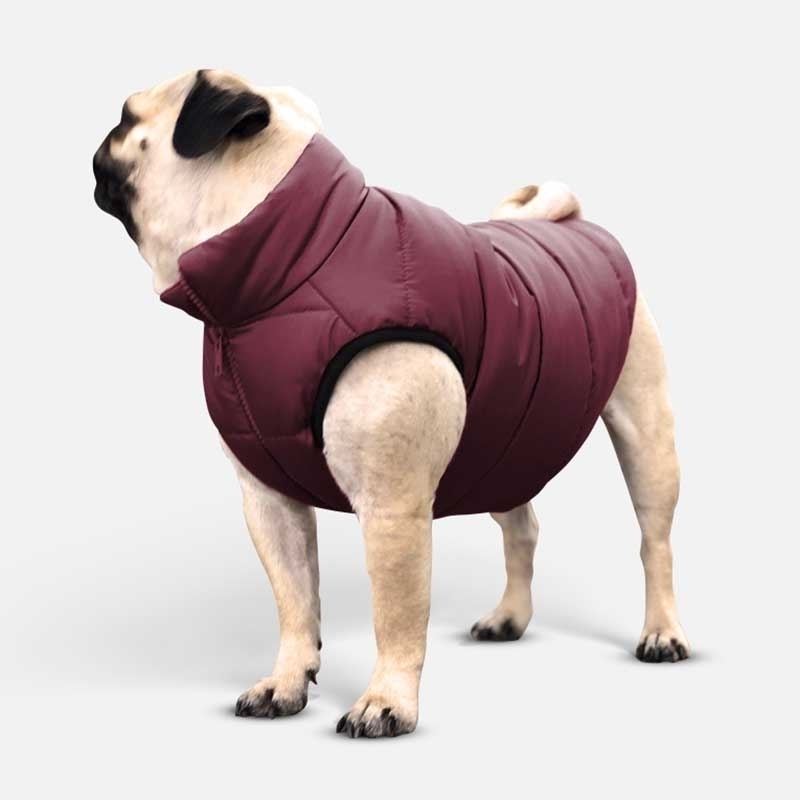 Noble Pet (Нобл Пет) Scotty - Куртка для собак (бордовая) (S (27-29 см)) в E-ZOO