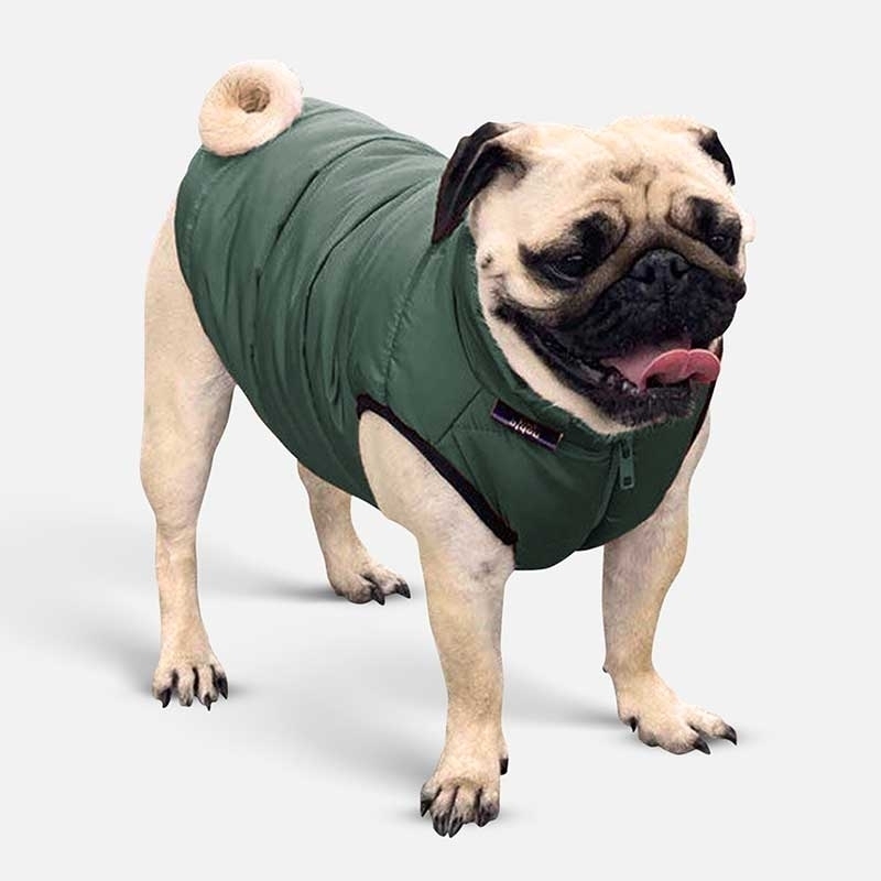 Noble Pet (Нобл Пет) Scotty - Куртка для собак (тёмно-зелёная) (M (30-32 см)) в E-ZOO