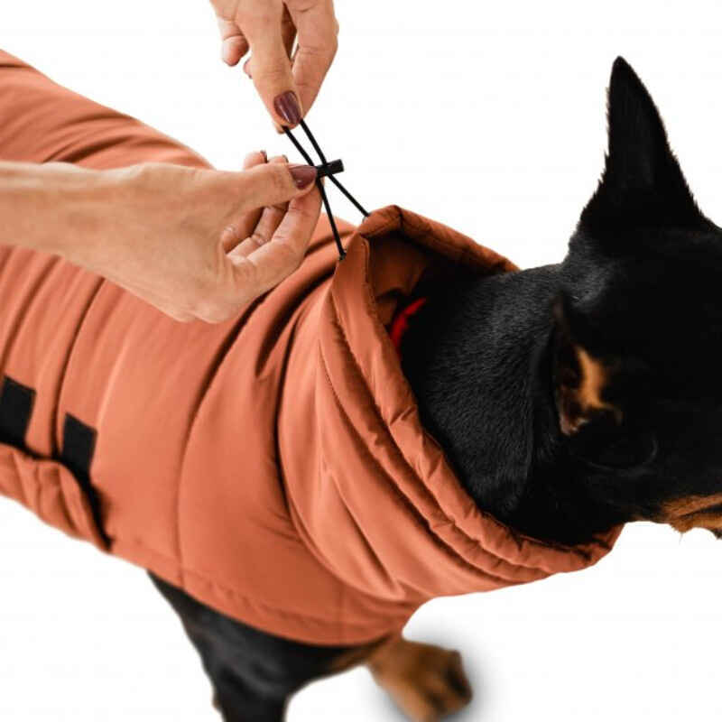 Noble Pet (Нобл Пет) Bobby - Куртка-пуховик для собак (терракотовый) (4XL (54-60 см)) в E-ZOO