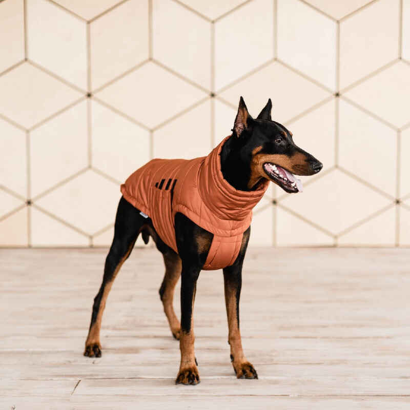 Noble Pet (Нобл Пет) Bobby - Куртка-пуховик для собак (теракотовий) (4XL (54-60 см)) в E-ZOO