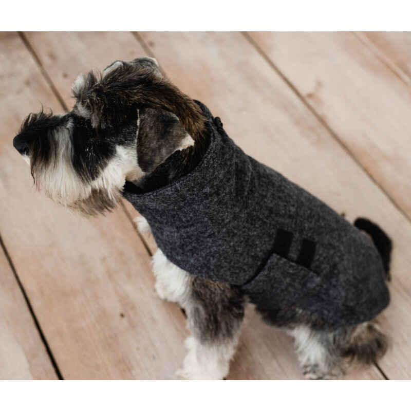 Noble Pet (Нобл Пет) Patrick - Пальто для собак (сірий) (L (33-36 см)) в E-ZOO