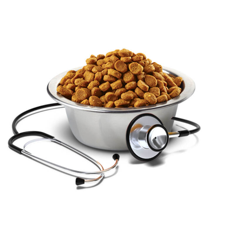 Farmina (Фармина) VetLife Gastrointestinal – Cухой корм-диета для кошек при заболевании ЖКТ (2 кг) в E-ZOO