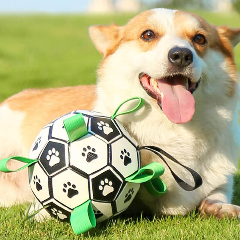 M-Pets (М-Петс) Soccer Ball – Футбольный мяч для собак с нейлоновыми язычками (Комплект) в E-ZOO