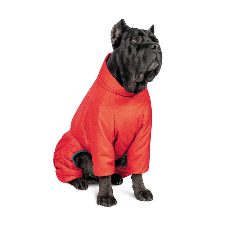 Pet Fashion (Пет Фешн) Cold - Комбинезон для собак (красный) (S такса (38-40 см)) в E-ZOO