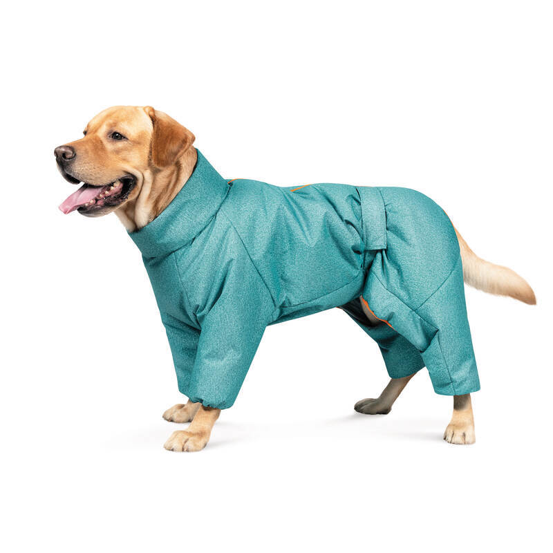 Pet Fashion (Пет Фешн) Cold - Комбинезон для собак (бирюза) (XS (23-25 см)) в E-ZOO