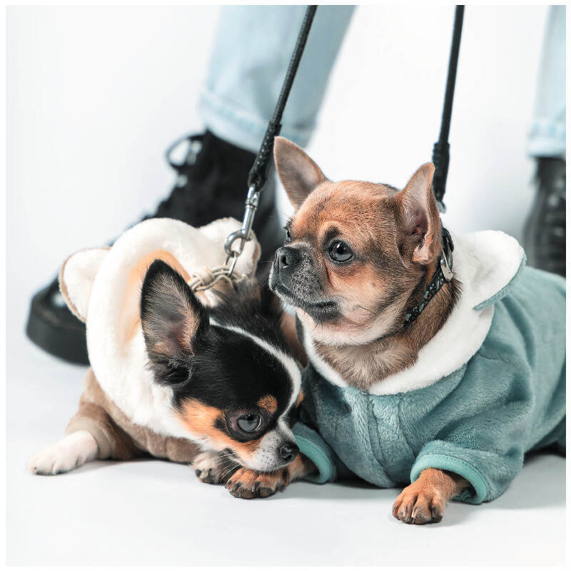 Pet Fashion (Пет Фешн) Alf - Костюм для собак (мятный) (XXS (20-22 см)) в E-ZOO