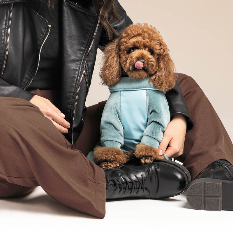 Pet Fashion (Пет Фешн) Comfort - Комбинезон для собак (голубой) (XS (23-25 см)) в E-ZOO