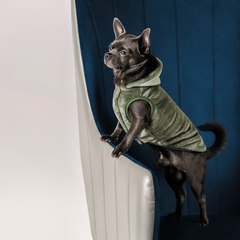 Pet Fashion (Пет Фешн) Louis - Жилет для собак (оливковий) (XXS (20-22 см)) в E-ZOO