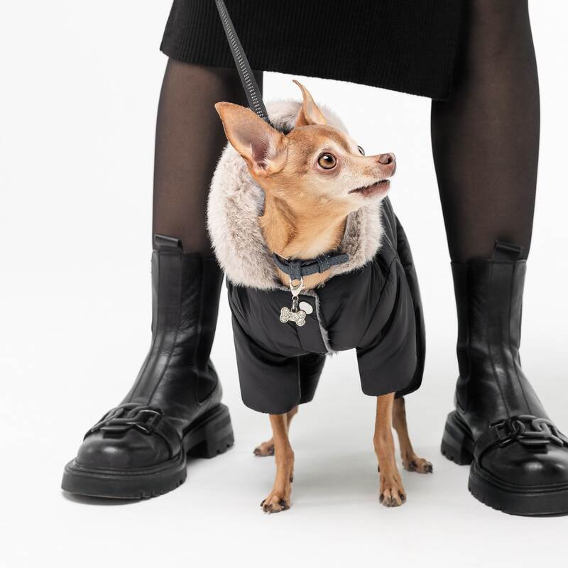 Pet Fashion (Пет Фешн) Black - Костюм для собак (чорний) (XXS (20-22 см)) в E-ZOO