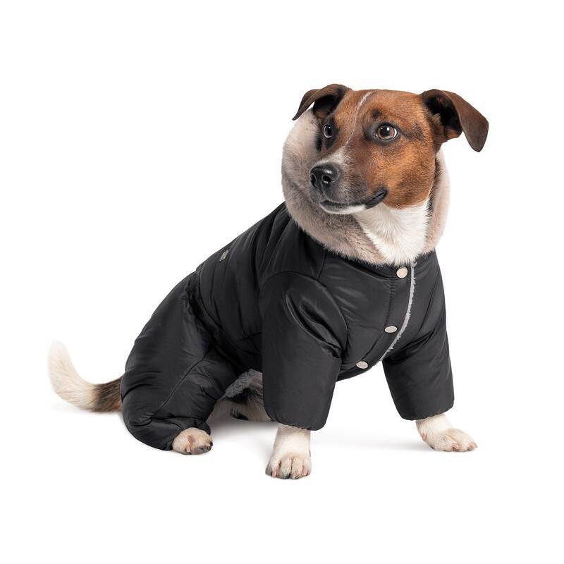 Pet Fashion (Пет Фешн) Black - Костюм для собак (черный) (XXS (20-22 см)) в E-ZOO