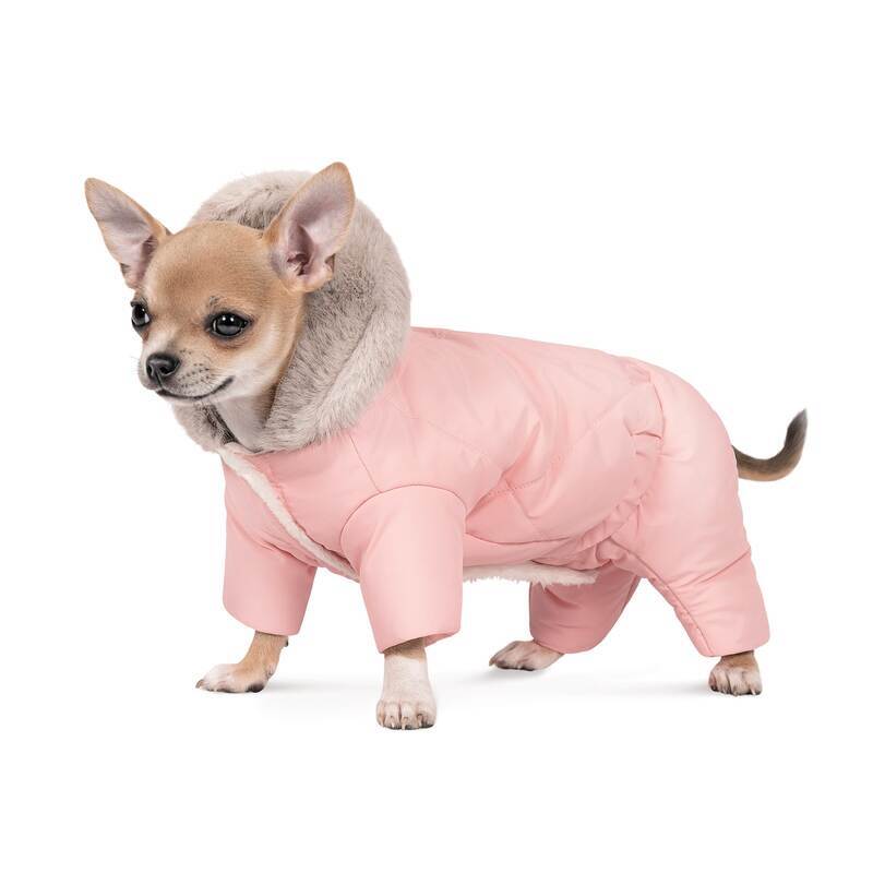 Pet Fashion (Пет Фешн) Judy - Костюм для собак (пудровый розовый) (XS (23-25 см)) в E-ZOO