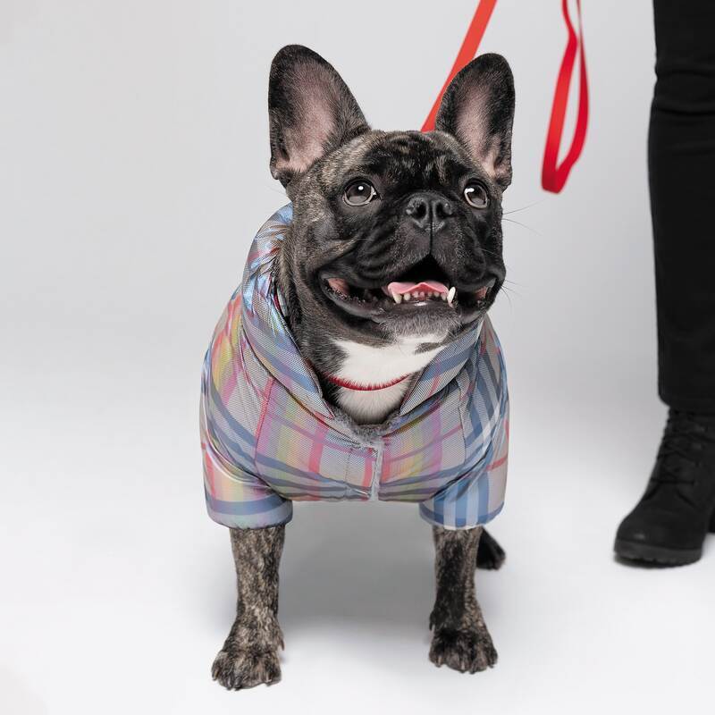 Pet Fashion (Пет Фешн) Indigo - Комбінезон для собак (клітінка) (S2 (28-30 см)) в E-ZOO