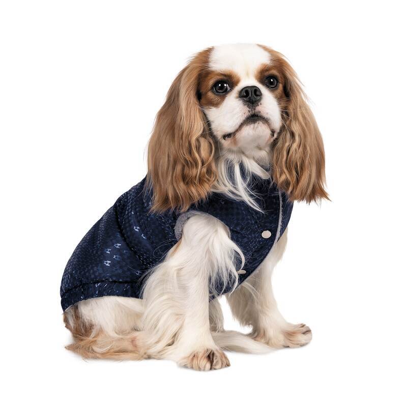 Pet Fashion (Пет Фешн) Lucky - Жилет для собак (синий) (S (27-29 см)) в E-ZOO