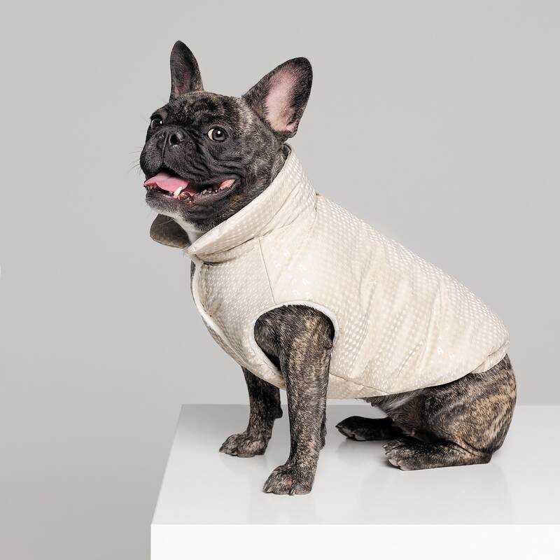 Pet Fashion (Пет Фешн) Lucky - Жилет для собак (бежевый) (S (27-29 см)) в E-ZOO