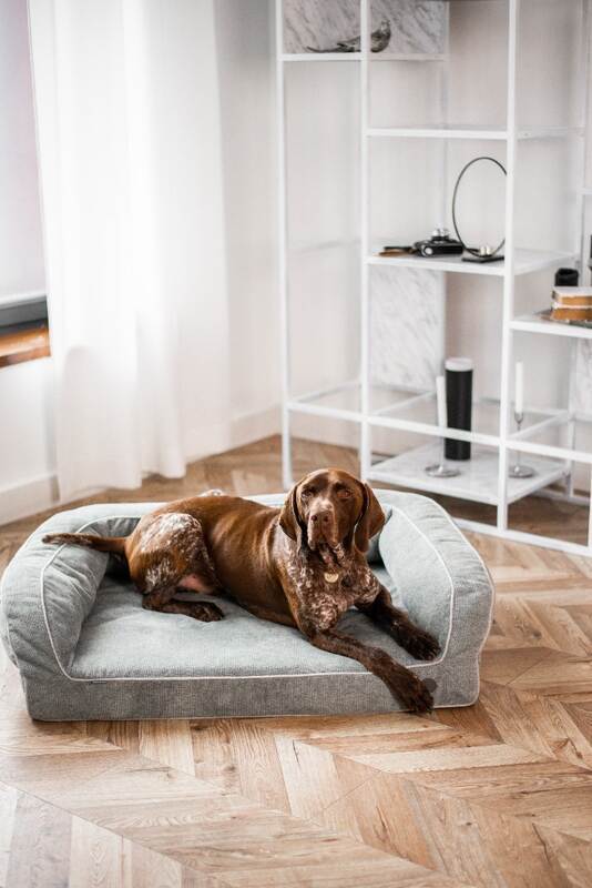 HARLEY & CHO (Харли энд Чо) Sleeper - Ортопедический диван для собак с чехлом из мебельной ткани (90х65 см) в E-ZOO