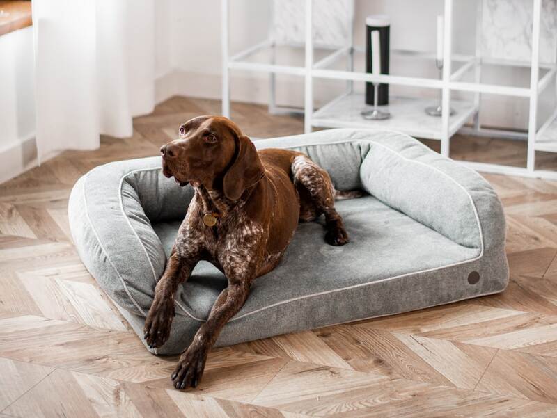 HARLEY & CHO (Харлі енд Чо) Sleeper - Ортопедичний диван для собак із чохлом з меблевої тканини (90х65 см) в E-ZOO