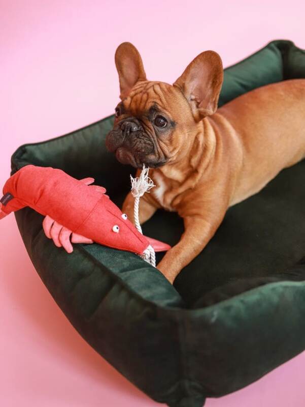 HARLEY & CHO (Харли энд Чо) Мягкая игрушка из ткани Лобстер Себастьян для собак (36х20 см) в E-ZOO
