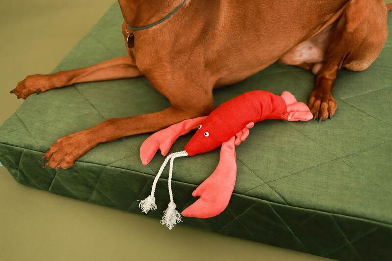 HARLEY & CHO (Харли энд Чо) Мягкая игрушка из ткани Лобстер Себастьян для собак (36х20 см) в E-ZOO