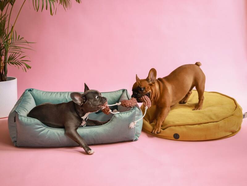 HARLEY & CHO (Харли энд Чо) Мягкая игрушка Сосисочки для собак (72х4 см) в E-ZOO