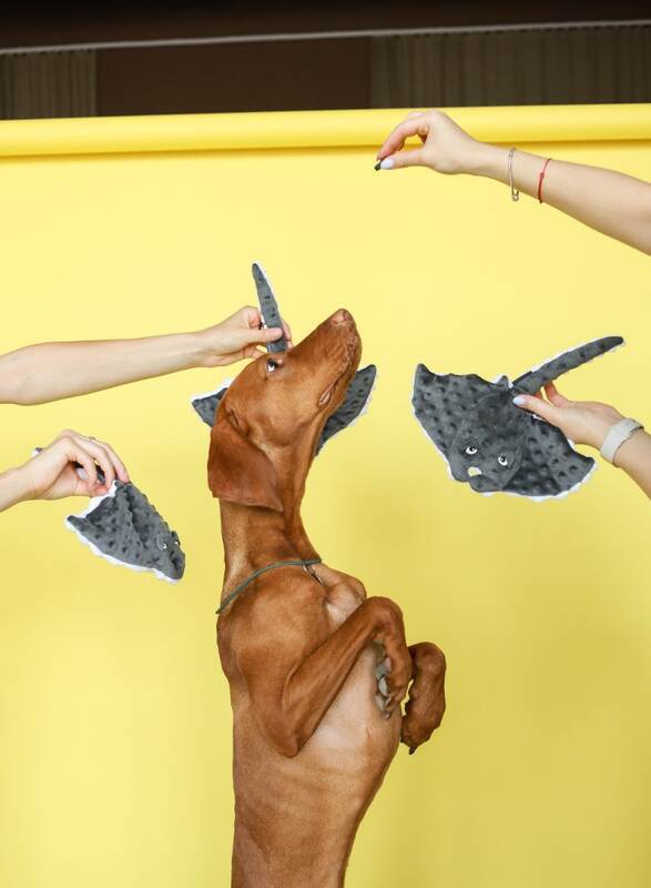 HARLEY & CHO (Харли энд Чо) Мягкая игрушка Скат Тесла для собак (30х30 см) в E-ZOO