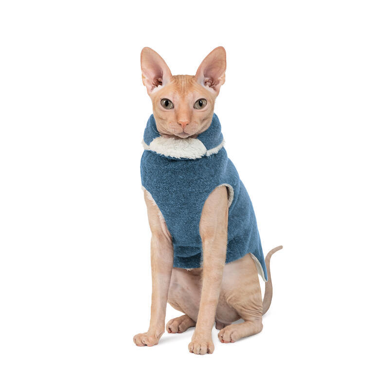 Pet Fashion (Пет Фешн) Sweater Cat - Свитер для котов (бирюза) (L (35-39 см)) в E-ZOO