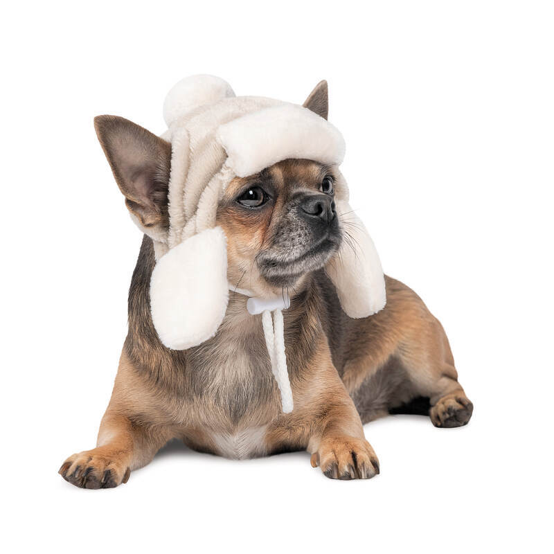 Pet Fashion (Пет Фешн) Bubo – Шапка для собак (сіра) (XS) в E-ZOO