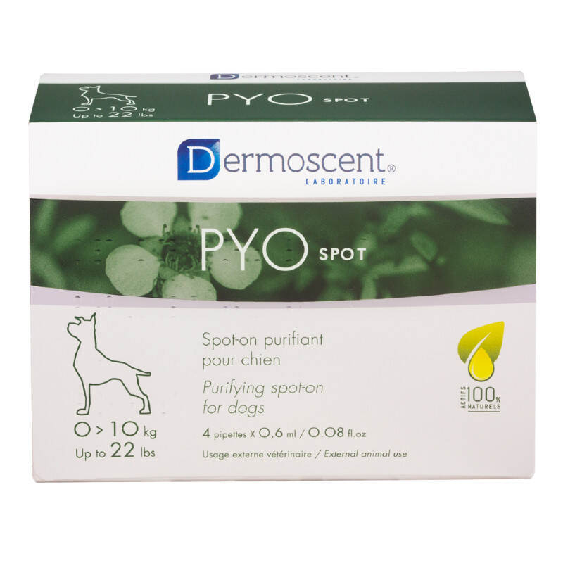 Dermoscent (Дермосент) PYOspot Spot-on - Антибактериальные капли на холку для собак (до 10 кг / 4х0,6 мл) в E-ZOO